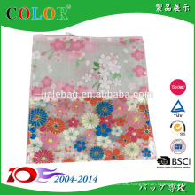 transparent pp woven file pocket bagwenzhou